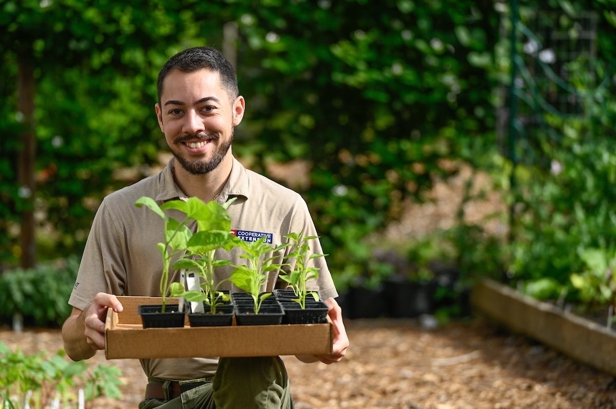 Family and Consumer Sciences program assistant Gaebryl Vives work at the Briggss Ave Community garden in Durham, NC. Its purpose is to provide an urban garden for Durham families to affordably grow healthy food, learn about sustainable agriculture, conserve pollinators, build community, and increase food security. The Garden engages citizens of all ages providing free hands-on agriculture education, recreation, and fellowship in a low-stress, supportive environment. Photo by Marc Hall